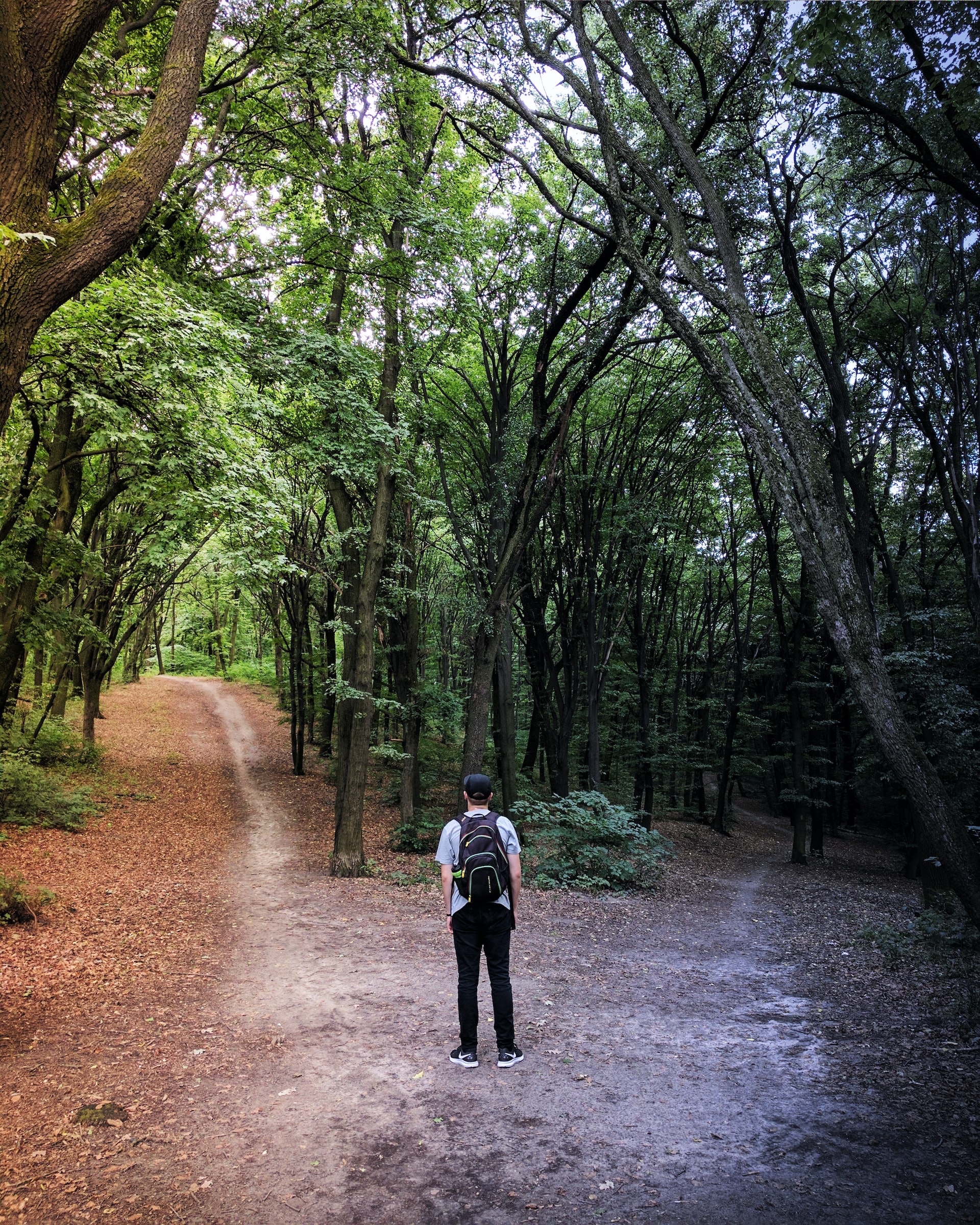 The choice Paradox
